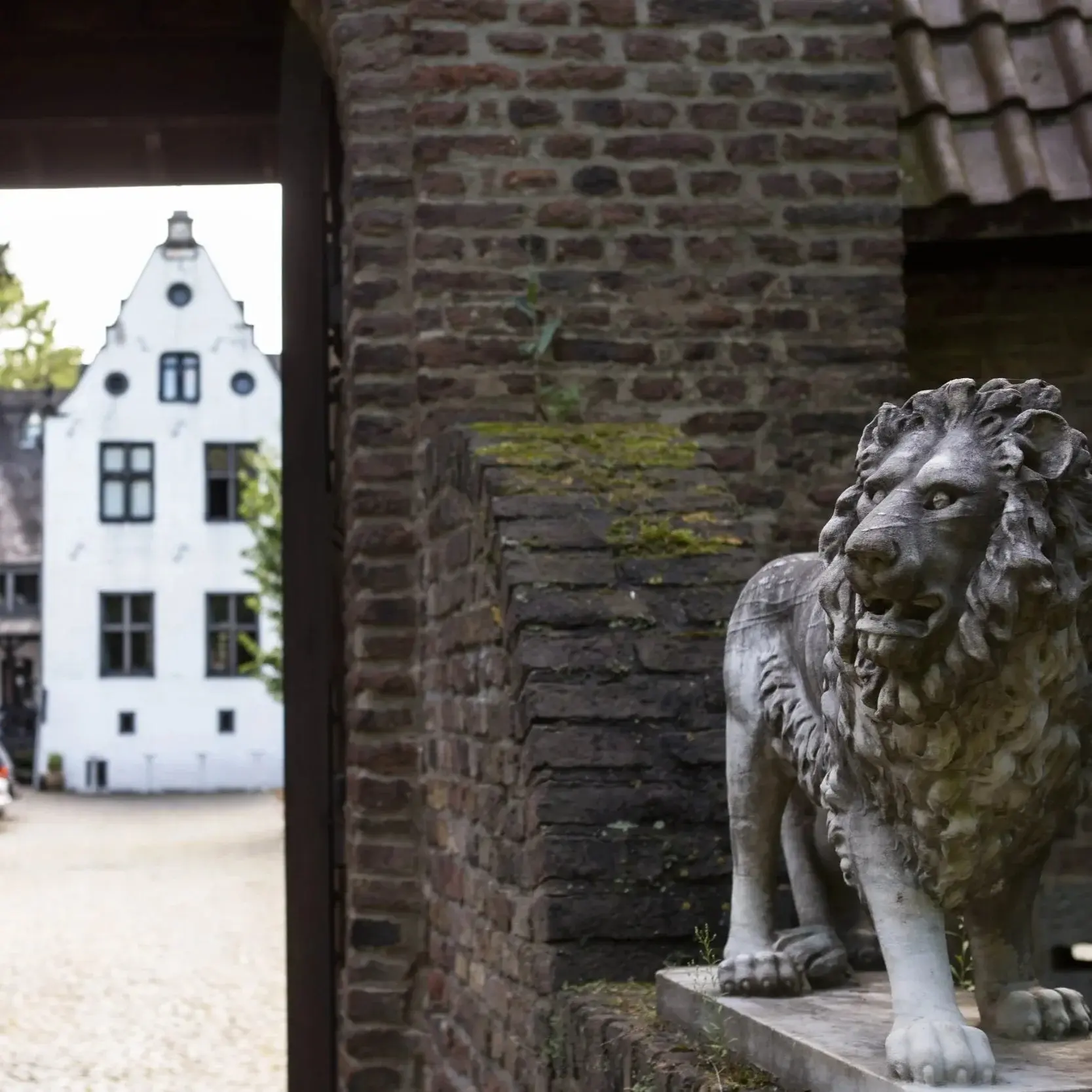 Akademie Zielwärts